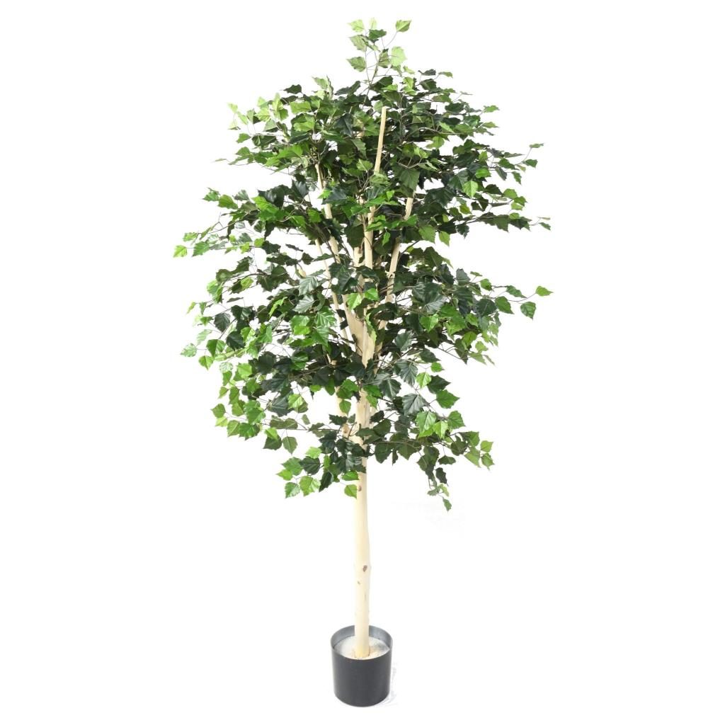 Bouleau décoratif de 170 cm, envergure 80 cm — photographie complémentaire