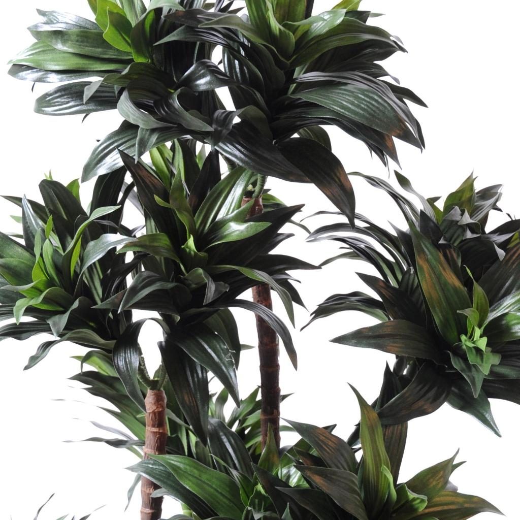 Dracaena décoratif Compacta à dix troncs, 140 cm — photographie complémentaire