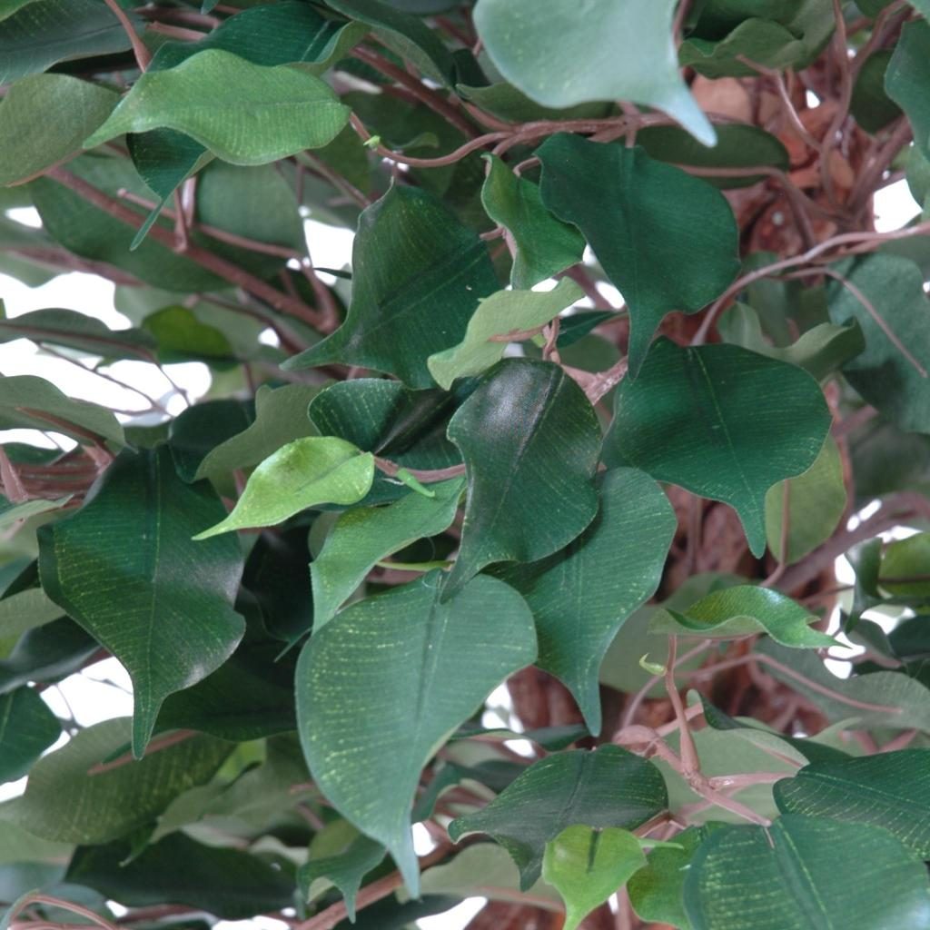Ficus décoratif en cage, format 140 cm — photographie complémentaire